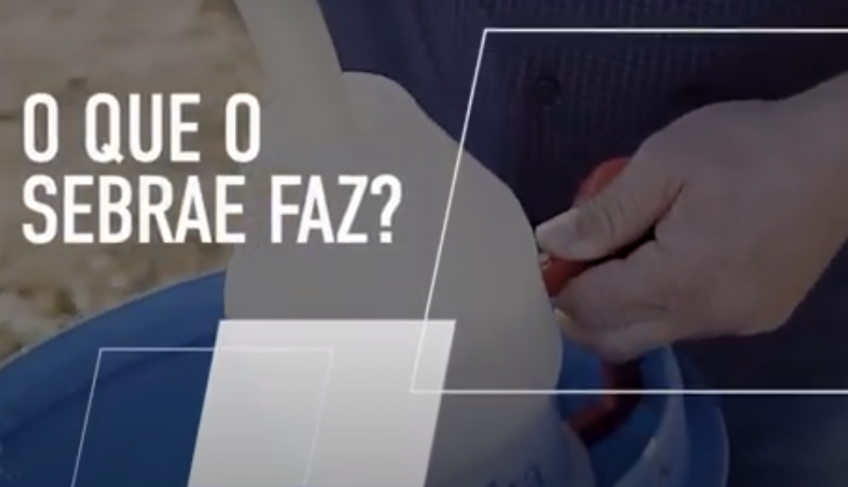 ASN Ceará - Agência Sebrae de Notícias