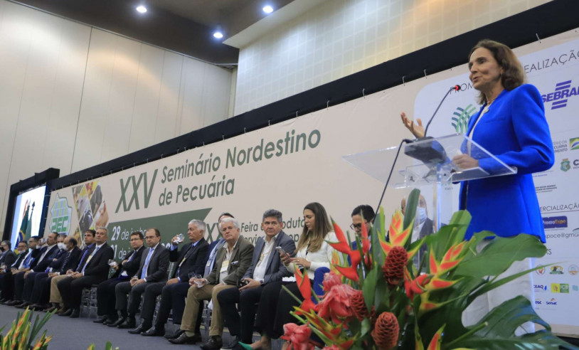 ASN Ceará - Agência Sebrae de Notícias