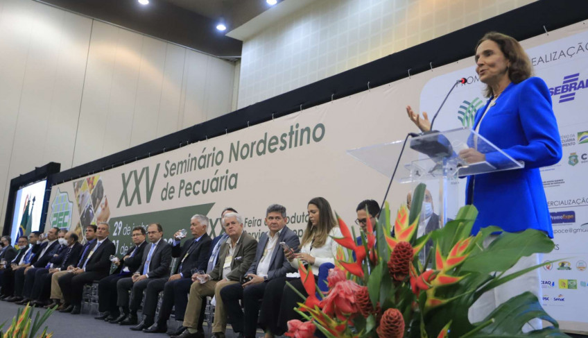 ASN Ceará - Agência Sebrae de Notícias