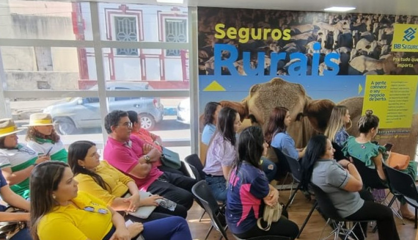 ASN Ceará - Agência Sebrae de Notícias