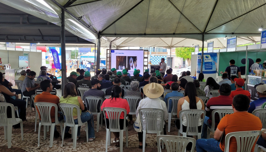ASN Ceará - Agência Sebrae de Notícias