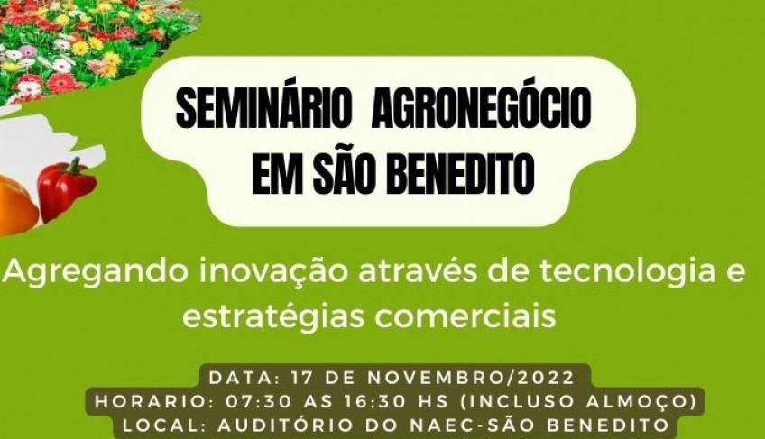 ASN Ceará - Agência Sebrae de Notícias