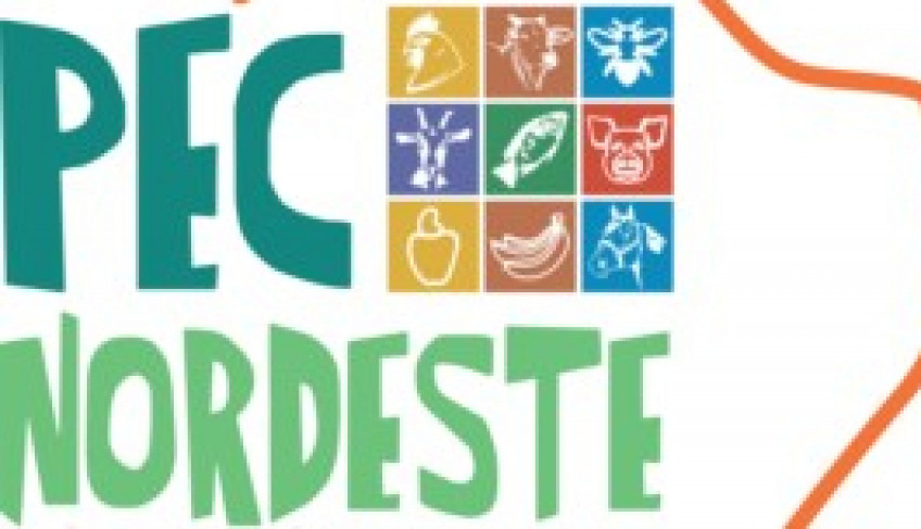 ASN Ceará - Agência Sebrae de Notícias