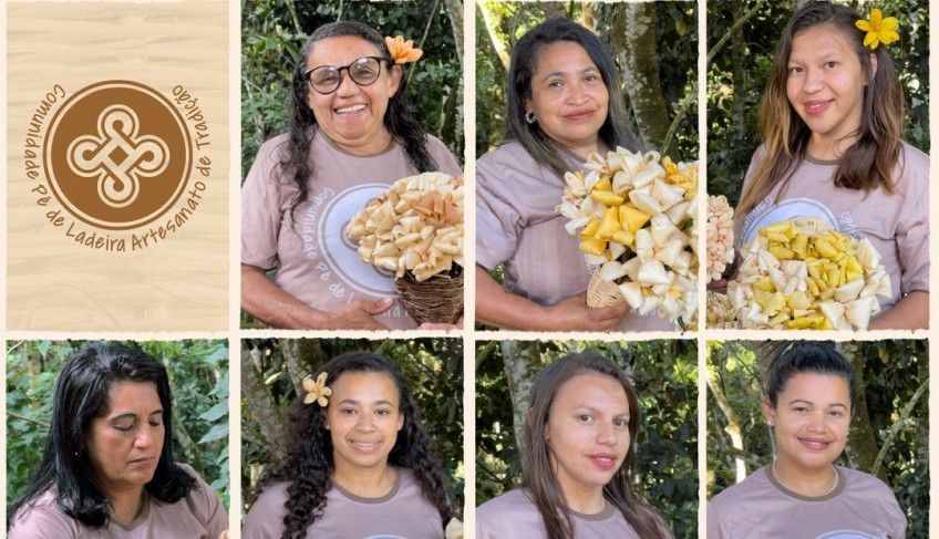 ASN Ceará - Agência Sebrae de Notícias