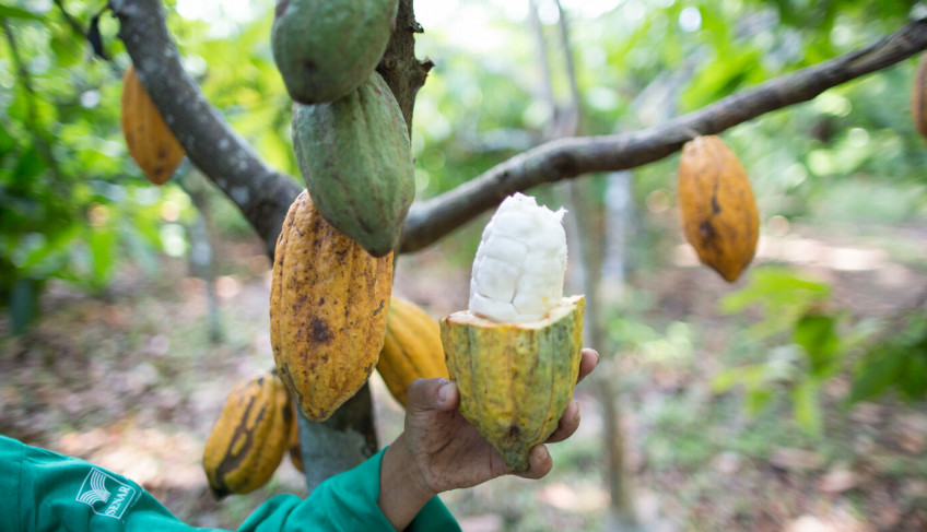 ASN Ceará - Agência Sebrae de Notícias