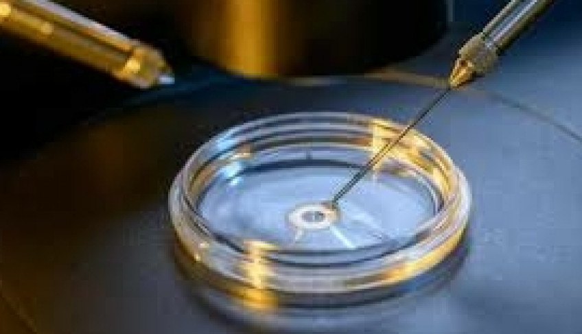 ASN Ceará - Agência Sebrae de Notícias