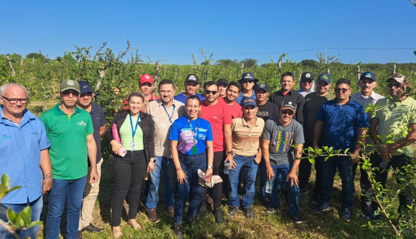 ASN Ceará - Agência Sebrae de Notícias
