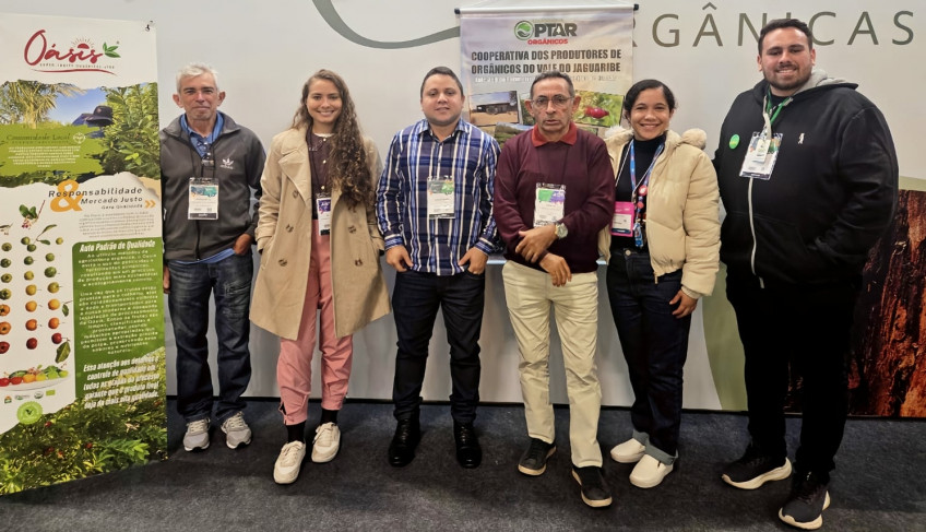 ASN Ceará - Agência Sebrae de Notícias