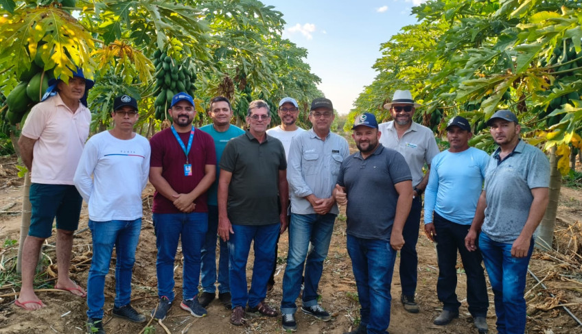 ASN Ceará - Agência Sebrae de Notícias