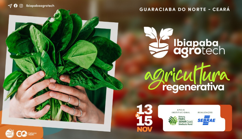ASN Ceará - Agência Sebrae de Notícias