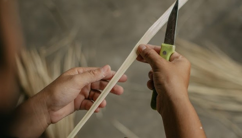 ASN Ceará - Agência Sebrae de Notícias