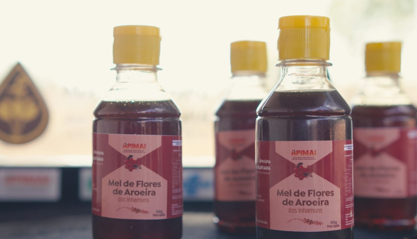 ASN Ceará - Agência Sebrae de Notícias