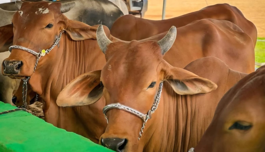 ASN Ceará - Agência Sebrae de Notícias