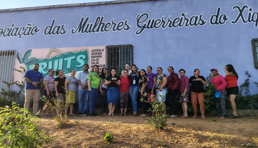 ASN Ceará - Agência Sebrae de Notícias