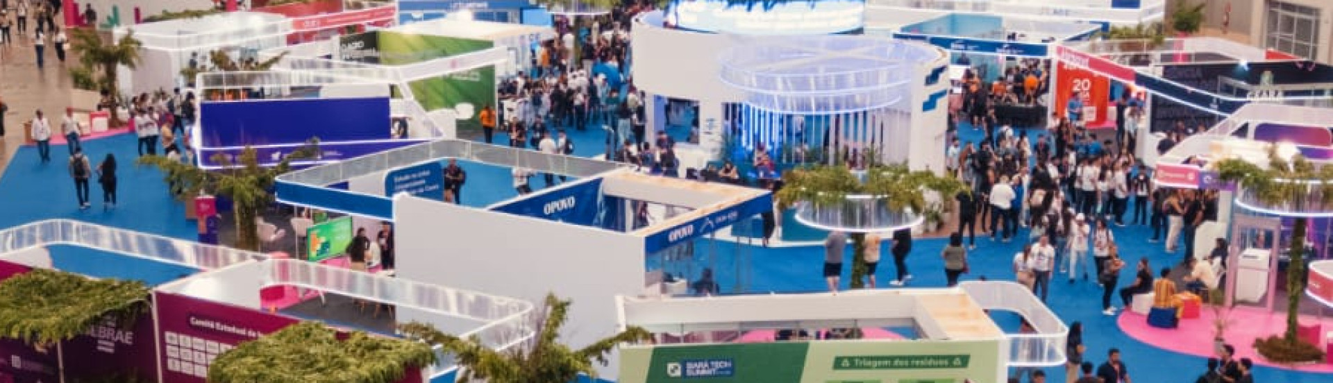 ASN Ceará - Agência Sebrae de Notícias