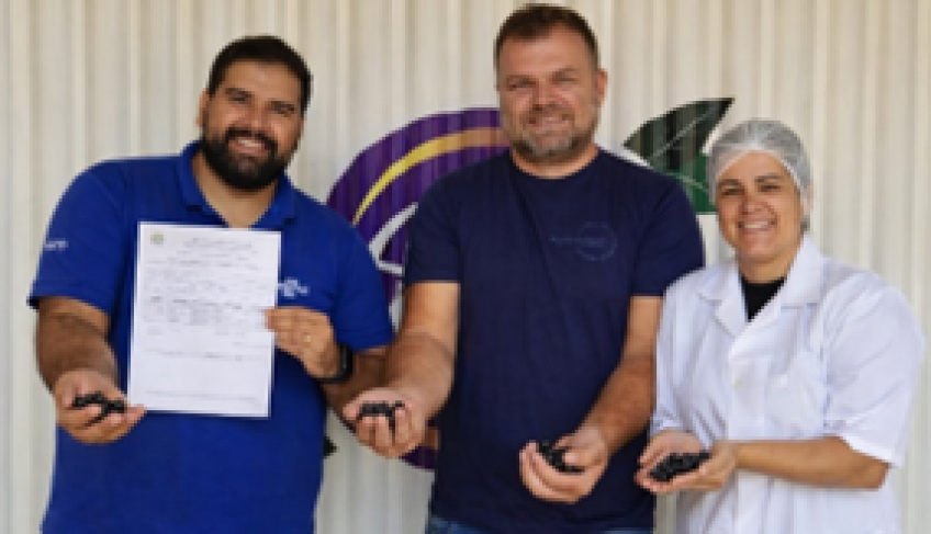 ASN Ceará - Agência Sebrae de Notícias