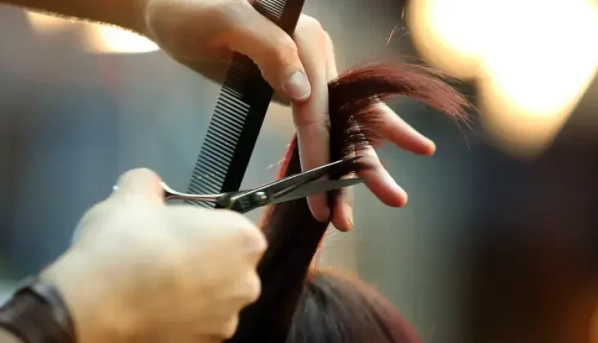 ASN Ceará - Agência Sebrae de Notícias