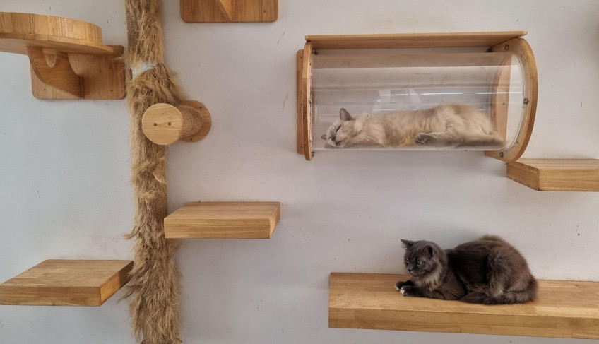 ASN Ceará - Agência Sebrae de Notícias