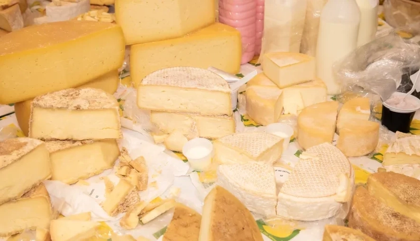 ASN Ceará - Agência Sebrae de Notícias