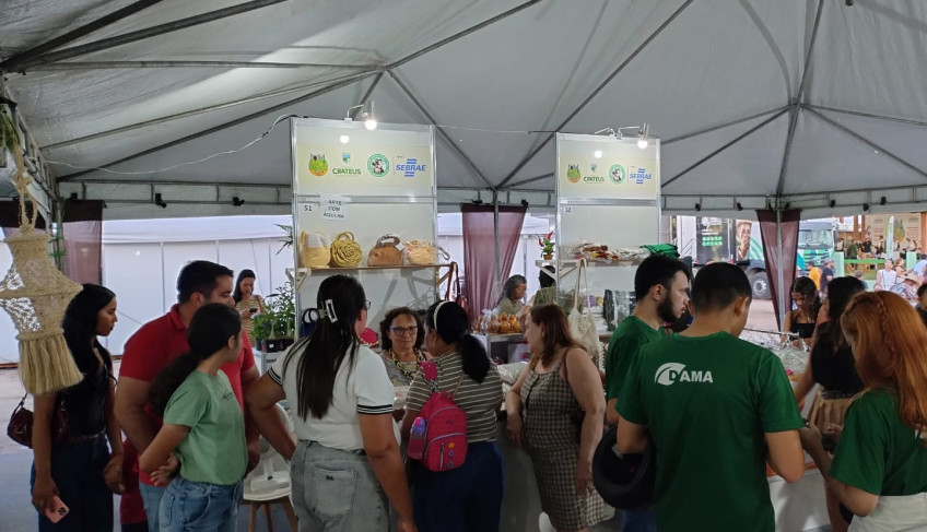 ASN Ceará - Agência Sebrae de Notícias