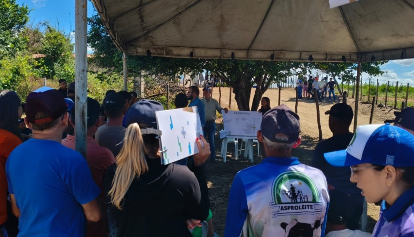 ASN Ceará - Agência Sebrae de Notícias