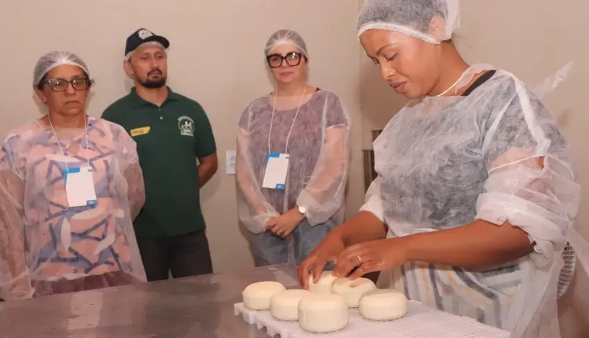 ASN Ceará - Agência Sebrae de Notícias